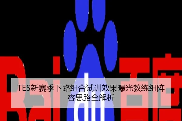 TES新赛季下路组合试训效果曝光教练组阵容思路全解析