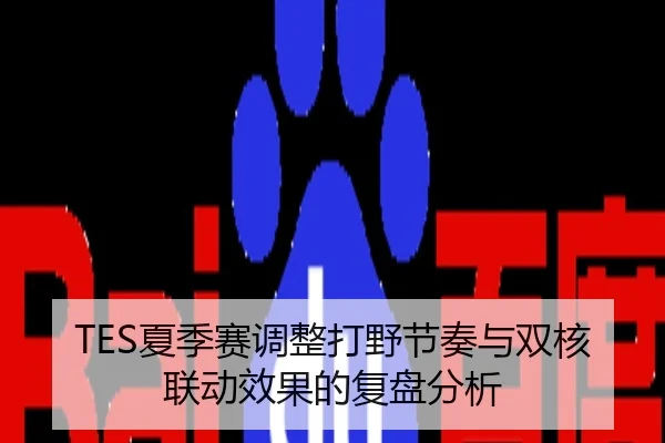 TES夏季赛调整打野节奏与双核联动效果的复盘分析
